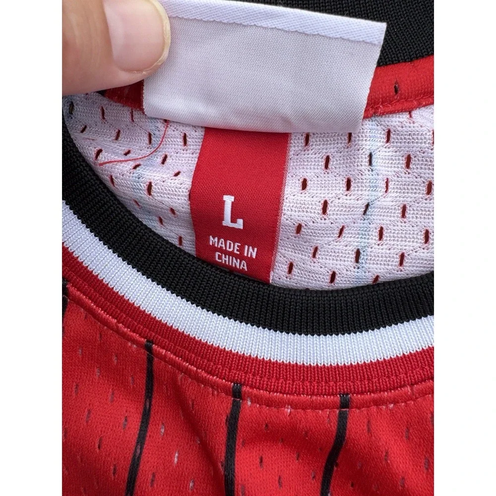 Mens Mitchell & Ness NBA Reload Swingman Jersey Bulls 1995 Scottie‎ Pippen Large